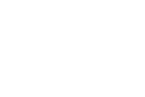 Garmin Logo 1