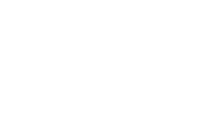 Pnoe Logo